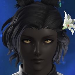 Erenville Selvik