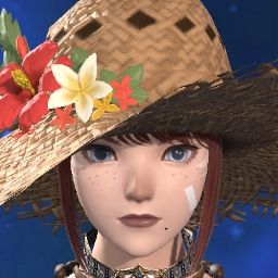 Summer Junebug