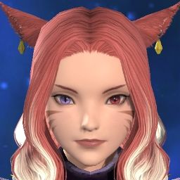 Snowfox Snow