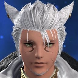 Xictor Gravestein