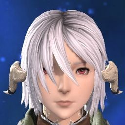 Nyte Crusader