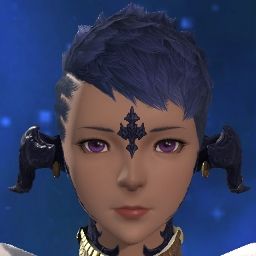 Tsubame Sokon