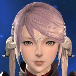 Sakura Bloom
