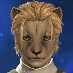 Copper Cat