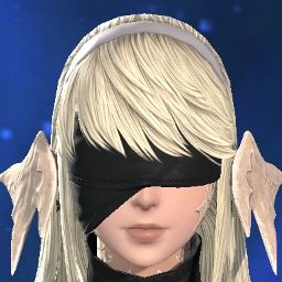 Muellfahrer Pheno