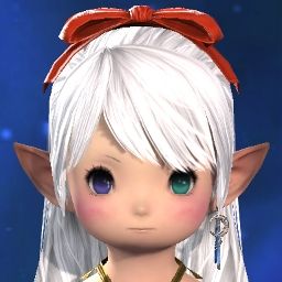 Kitten Lumi