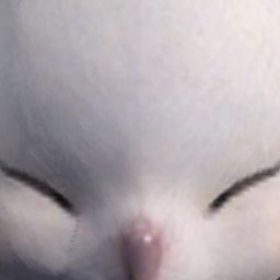 Nwandu's Avatar