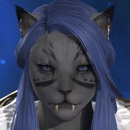 Kat Cat