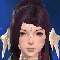 Aranea Croszeria