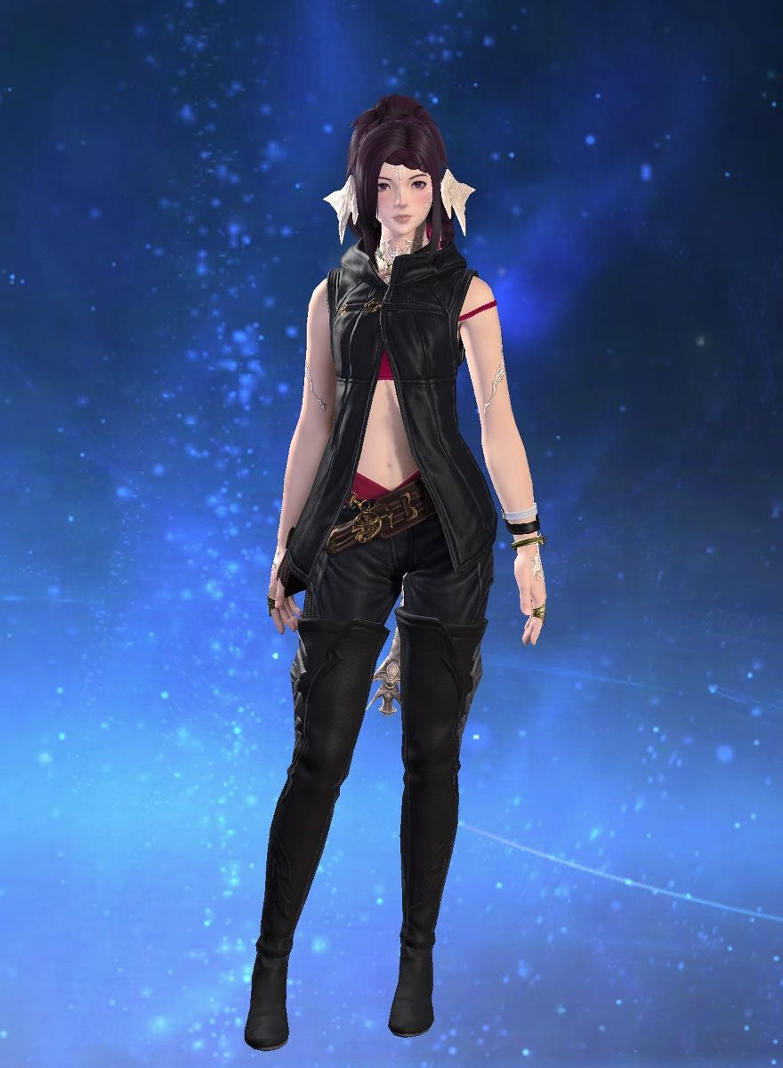 Aranea Croszeria