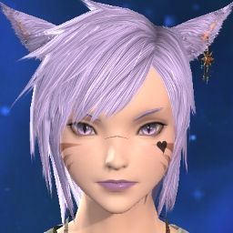 Unowned Kitten