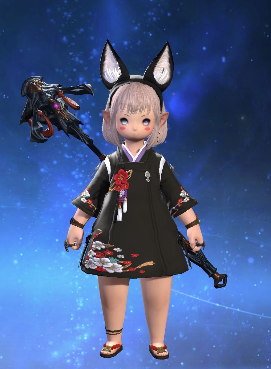 Popoto Cat
