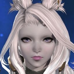 Bun Knight