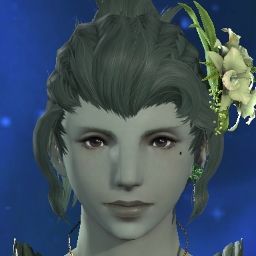 Nota Sylph