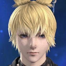 Prompto Husbundo