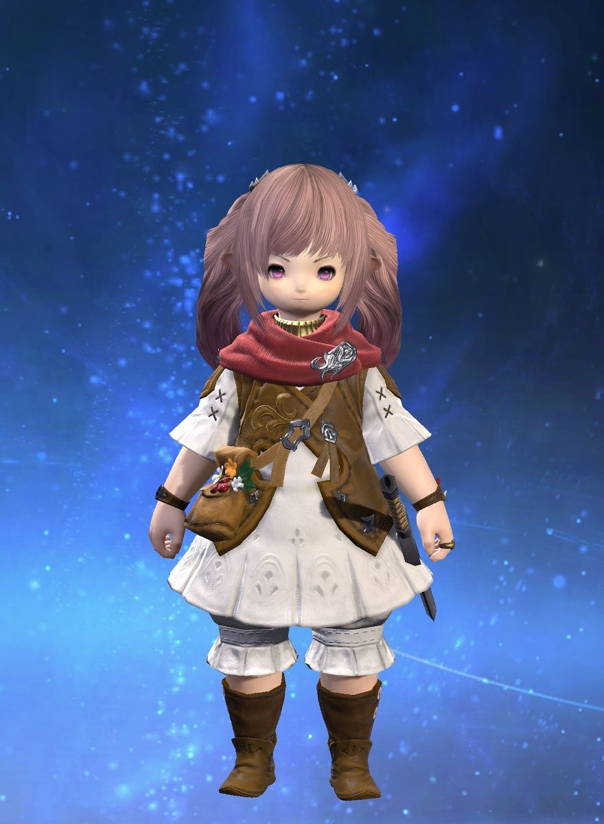 Choco Cranberry
