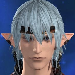 Haurchefant Forgery