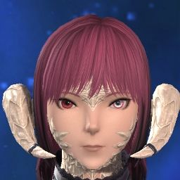 Reina Fighter