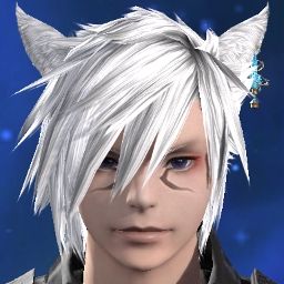 Shiryu Miqote