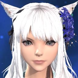 Kuma Moshi