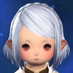 Bell Vasc