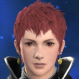 Rerikus Skysaver
