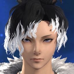X'vett Dust