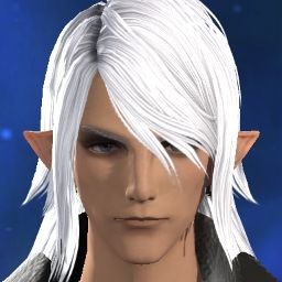 Estinien' Wyrmblood