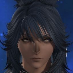 Windfell's Avatar