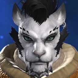 Decimus Veritas