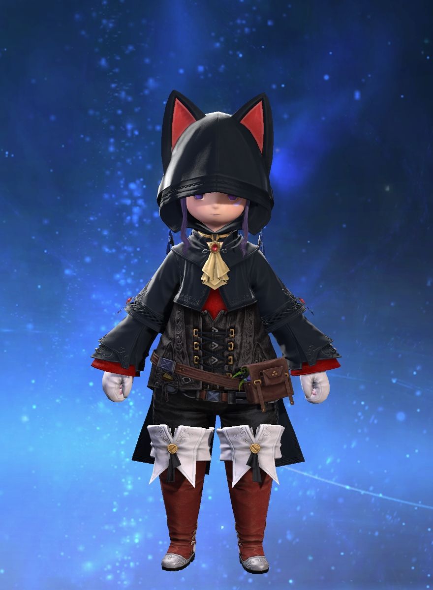 Rem Hikari (Tonberry) FFXIV Collect