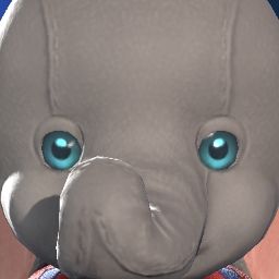 Pocha Cco