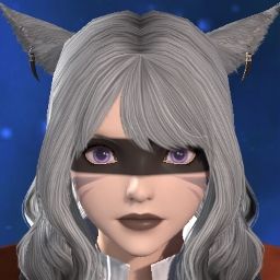 Feral Raccoon