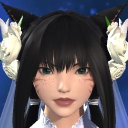 Kota Moonveil