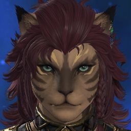 Wandering Cat