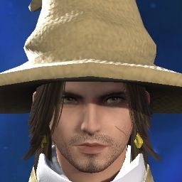 Zelm Il
