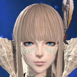 Sasanqua Doll
