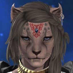Pajaia Akukuto
