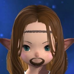 Incognito Elf