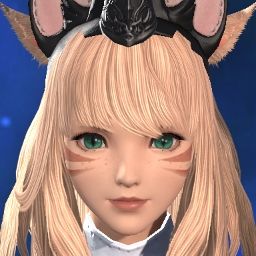 Meow Night
