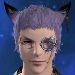 Qit Katze