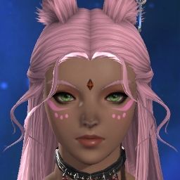 Pro Healer