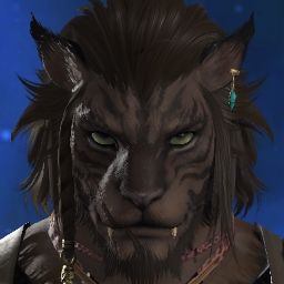 Aiden Softpaw