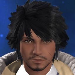 Navarre Lionheart