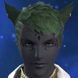 Salty Miqote