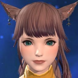 Nao Seek