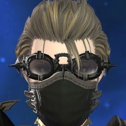 Aerin Echo