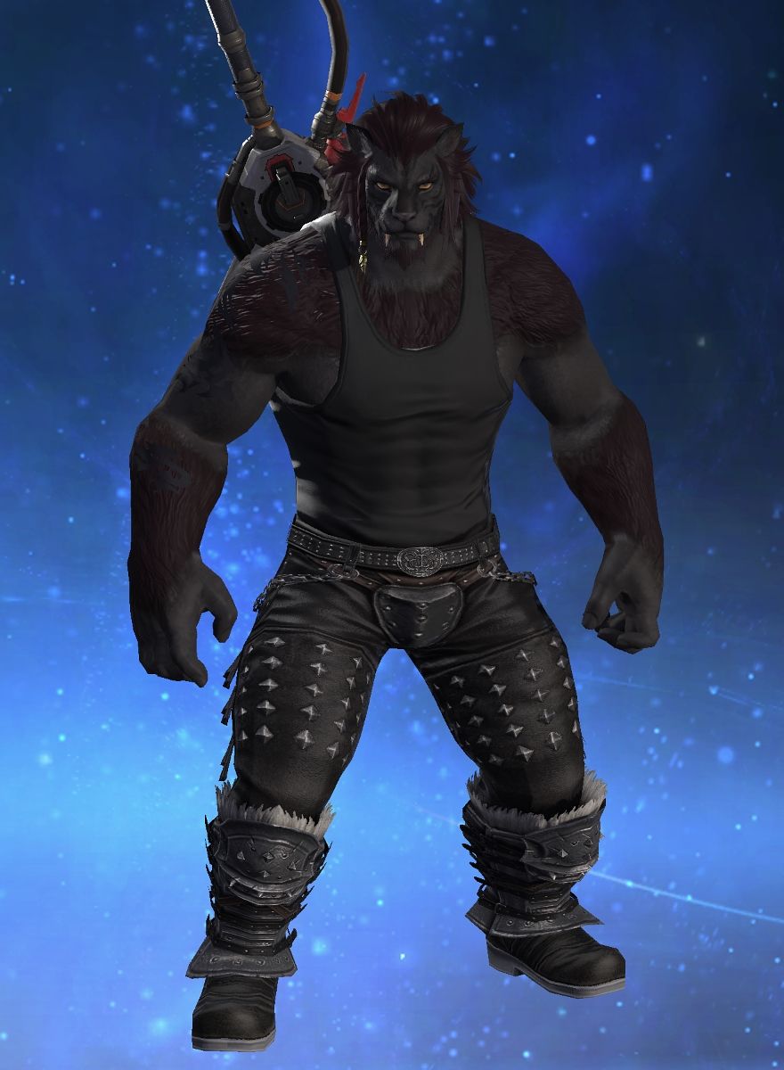 Alios Dirtlicker