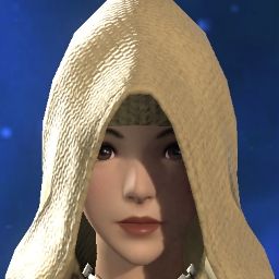 Salt Ackermann