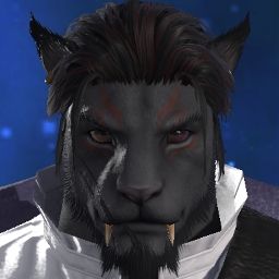 Quil Tilvisch